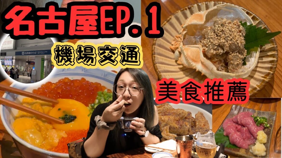 [日本旅遊]名古屋 美食推薦  中部機場到名古屋 交通資訊 臨時飛的第0.5天 影音檔丟失了一半 名古屋推薦餐廳 名古屋推薦居酒屋 怎麼有辣麼好吃的雞翅 混亂到怎麼那麼難剪