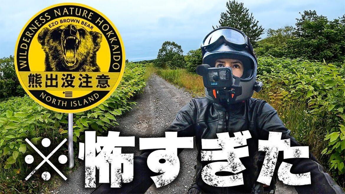 バイクで間違えてヒグマの縄張りに入ってしまう｜日本縦断バイク旅 7日目