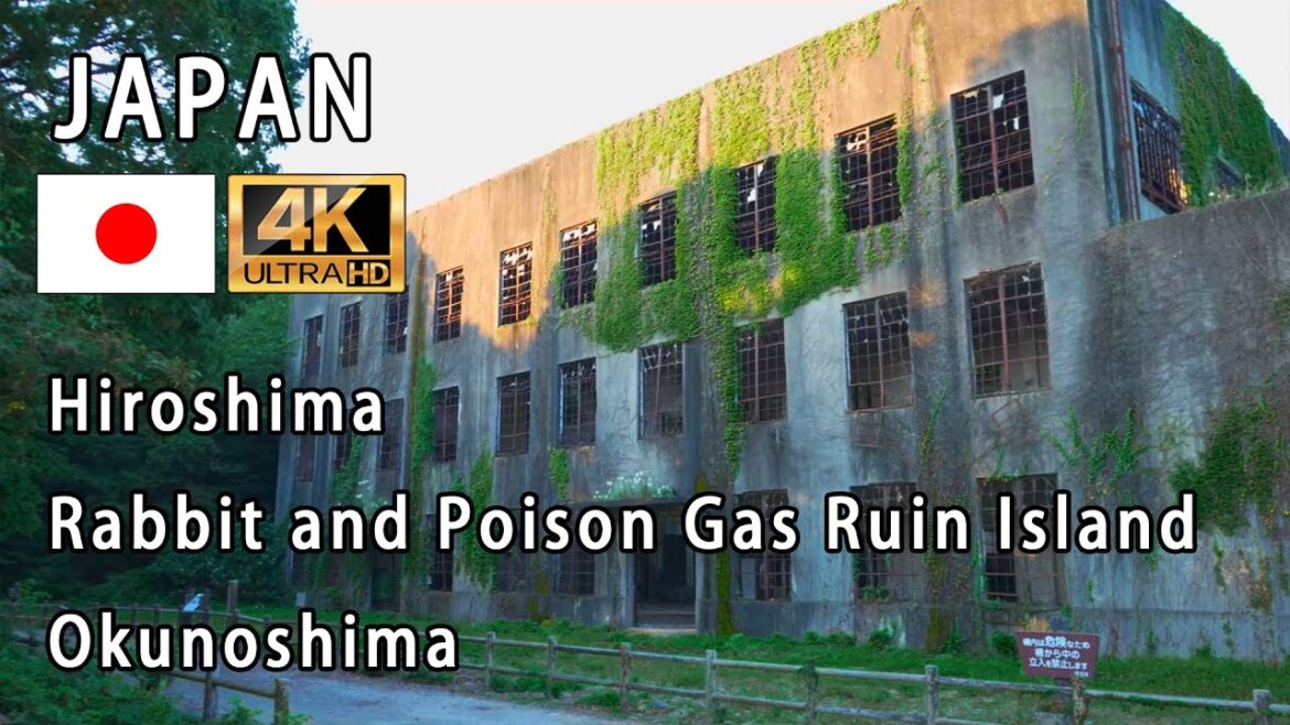 Japan Hiroshima Okunoshima ( Rabbit and Poison Gas Ruin Island ) Japan Hiroshima Okunoshima ( Rabbit and Poison Gas Ruin Island )