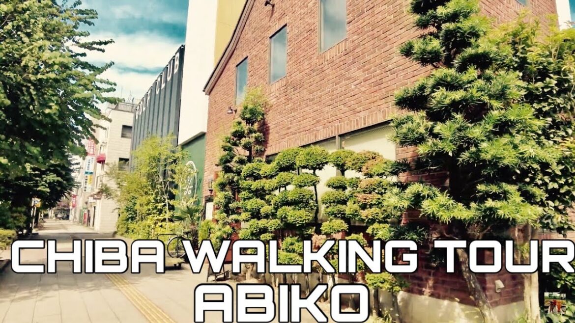 【🇯🇵4K】我孫子駅南口周辺の散策 ~手賀沼側 ~ 【Abiko in Chiba】