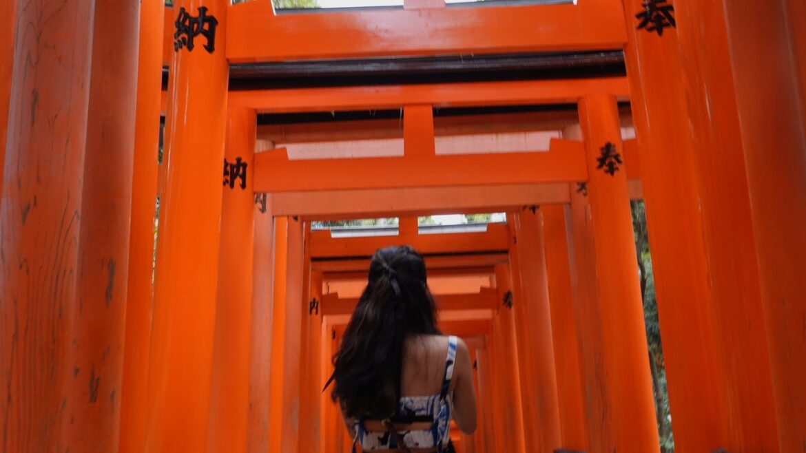 JAPAN TOUR 2023 (KYOTO) PART 3