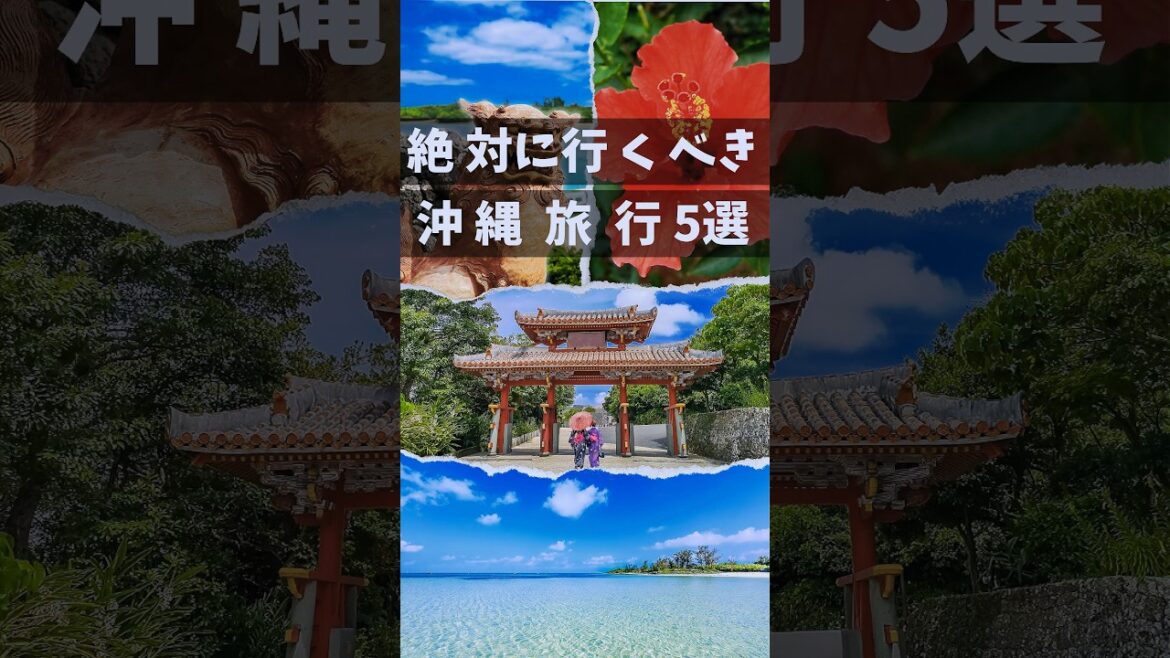 【絶対に行くべき】沖縄旅行おすすめ5選 #shorts 【絶対に行くべき】沖縄旅行おすすめ5選 #shorts