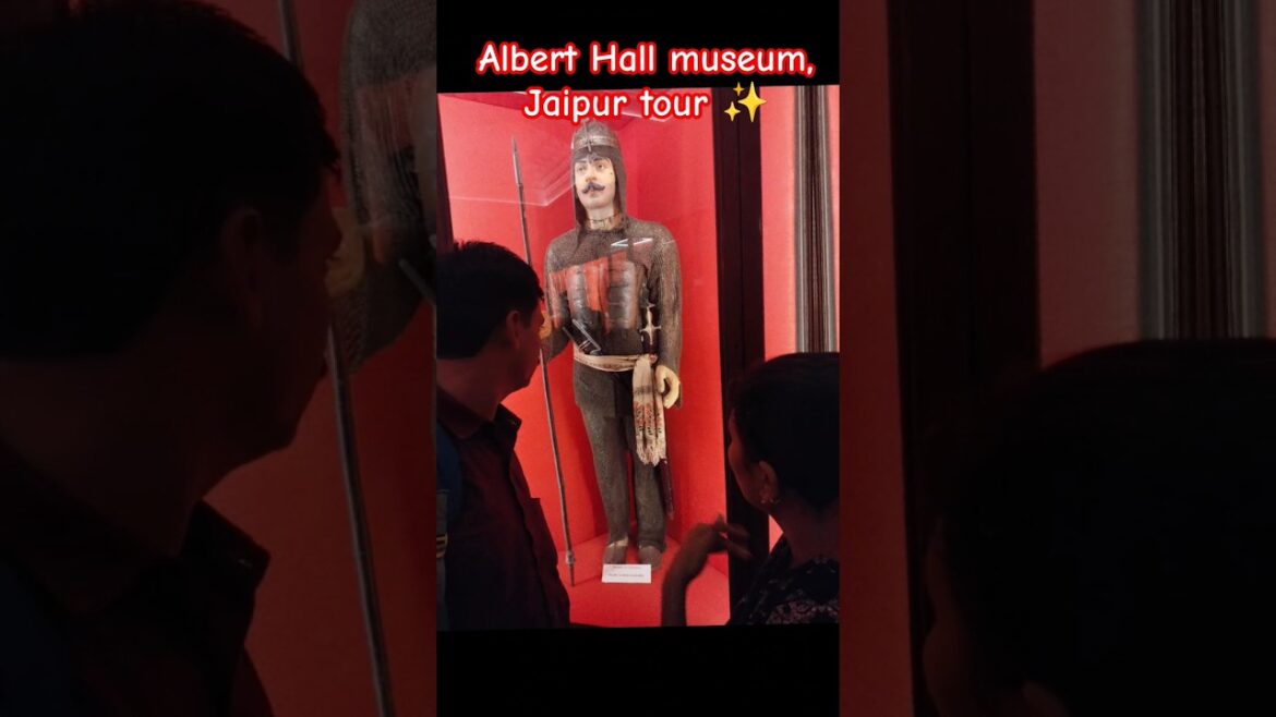 Albert Hall museum π€, Jaipur tour #viral #trending #ytshorts #shorts #travel #youtubeshorts Albert Hall museum π€, Jaipur tour #viral #trending #ytshorts #shorts #travel #youtubeshorts