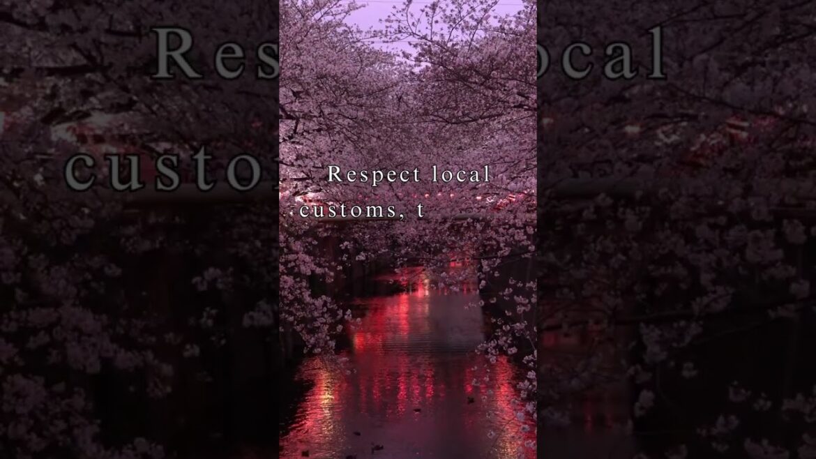 Here is all you need to know before coming to Japan. PART 15 #shrine #respect #culture #japan Here is all you need to know before coming to Japan. PART 15 #shrine #respect #culture #japan