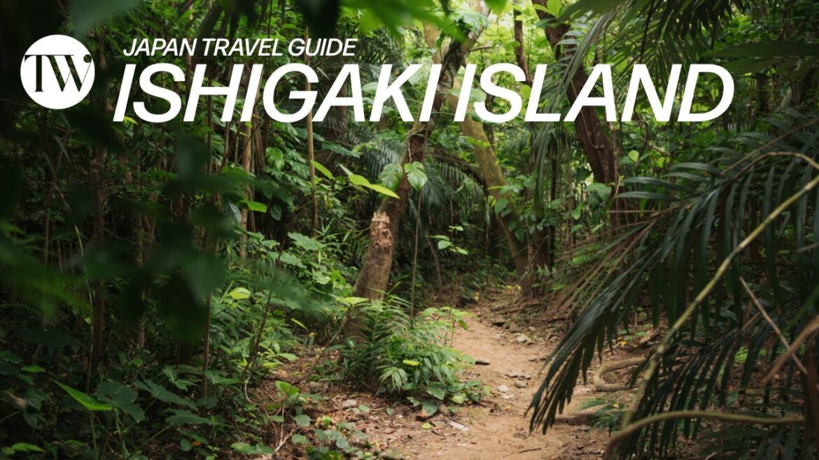 The Ultimate Ishigaki Island Travel Guide | Tokyo Weekender