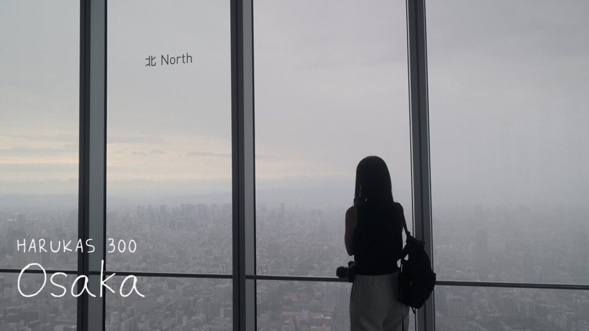 태풍에 갇혀버린 오사카