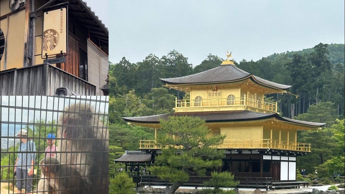 A day trip to Kyoto 京都の一日