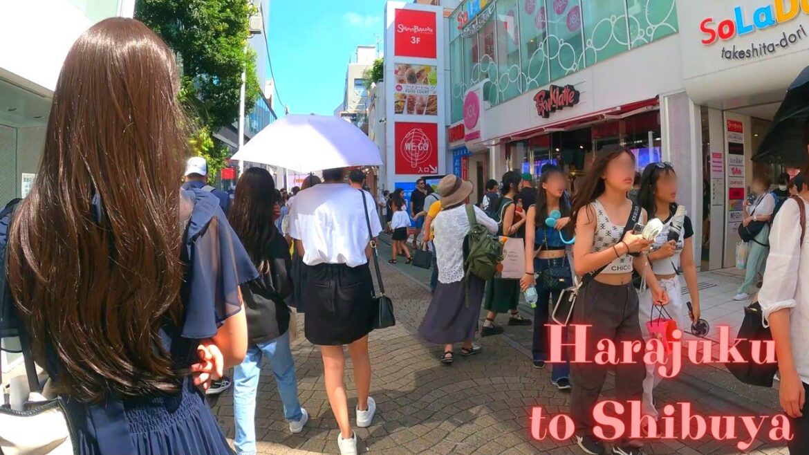 Harajuku to Shibuya Tokyo, in Japan walking tour　【4K】9.2023-9