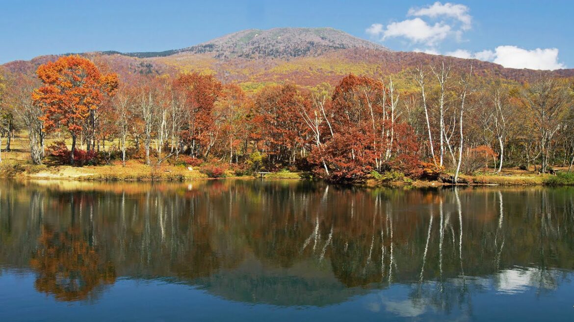 [ 4K Ultra HD ] 笹ヶ峰高原の紅葉 Sasagamine Plateau in Autumn (Shot on RED EPIC)