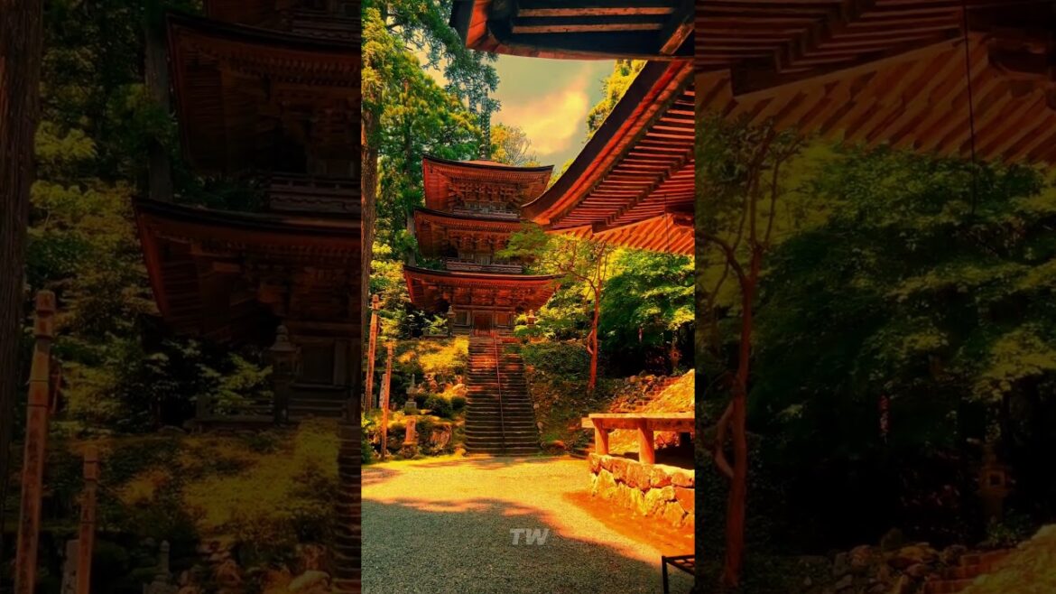 Unbelievable Visuals😍 PART 10😍 #shorts #tiktok #travel #reels #vacation