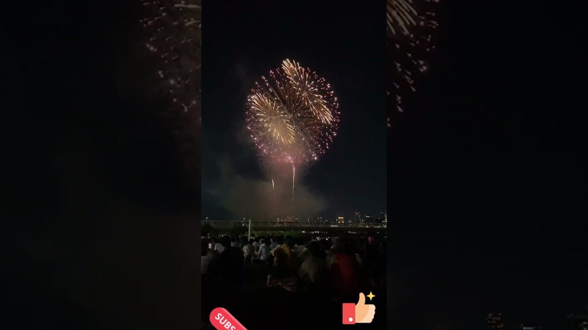 YODOGAWA FIREWORKS 2023 #travel #osaka #japanfestival #picnic #shortsvideo #shortsfeed #shorts