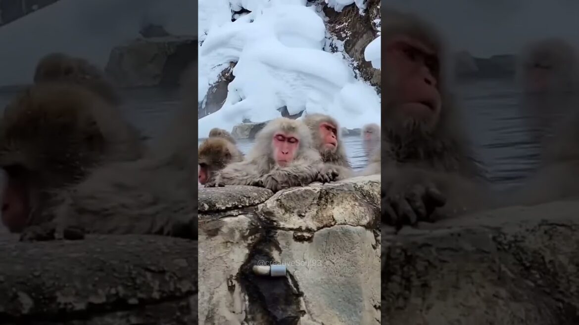 Places on Earth that don't feel real #adventure #explore #nature #awesomeworld #tiktok #shorts