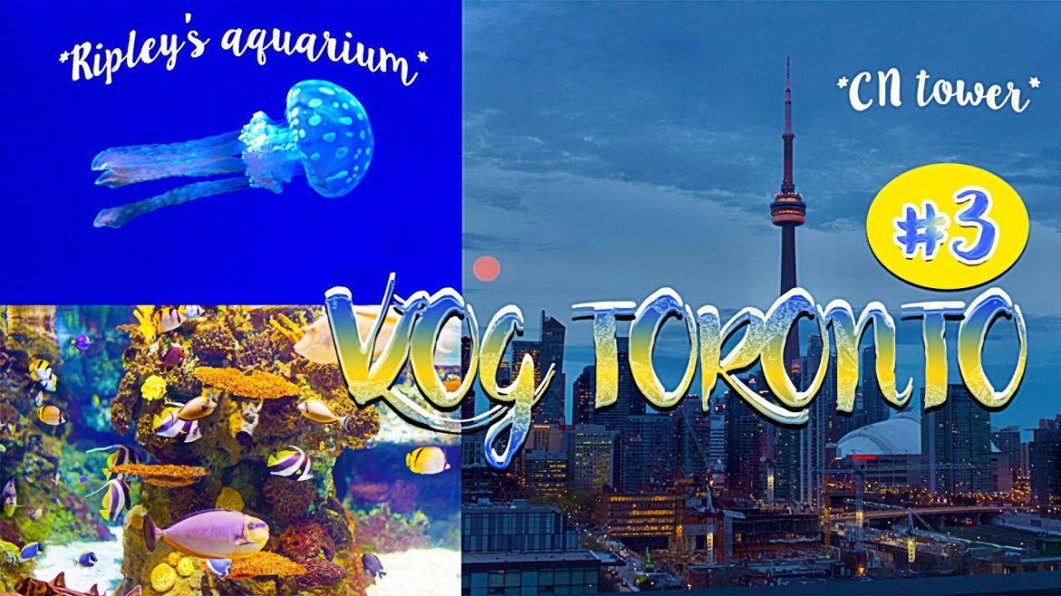 VLOG TORONTO 🇨🇦 CN TOWER, RIPLEY’S AQUARIUM, RIVERDALE PARK, ROYAL ONTARIO MUSEUM | Aylee VLOG TORONTO 🇨🇦 CN TOWER, RIPLEY’S AQUARIUM, RIVERDALE PARK, ROYAL ONTARIO MUSEUM | Aylee