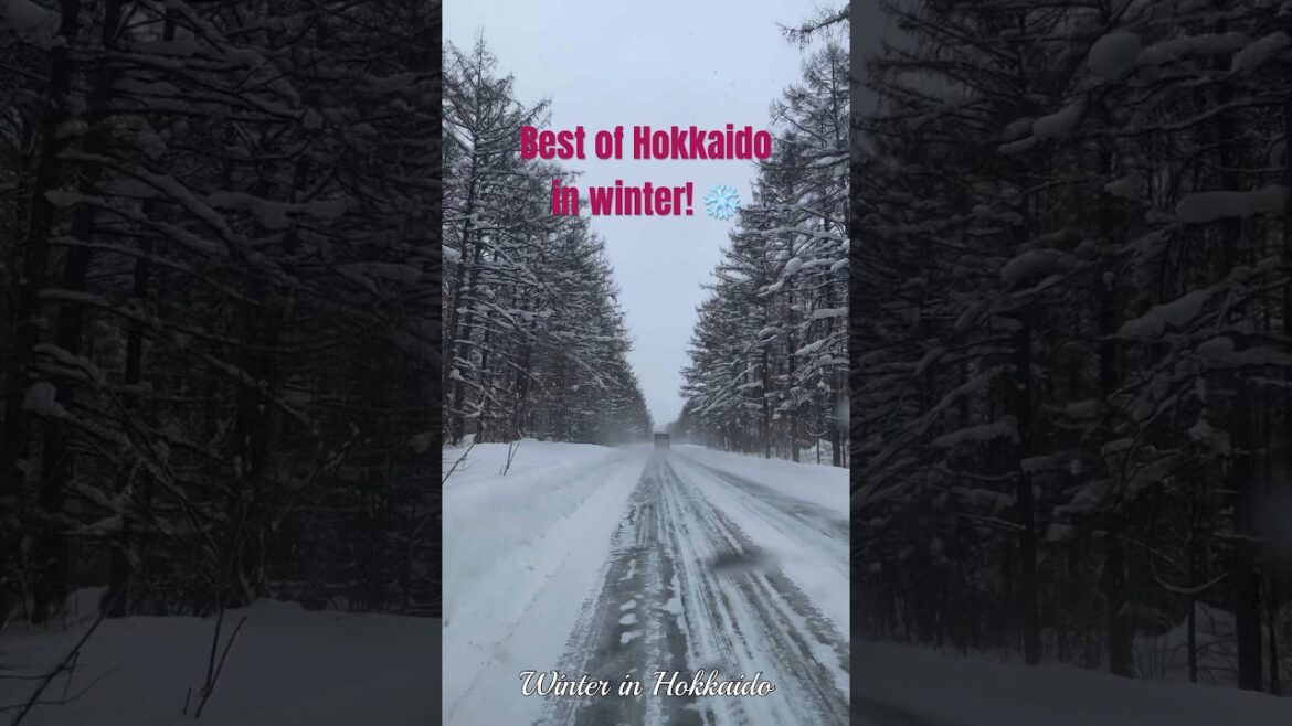 Hokkaido in winter ❄️ #Japan