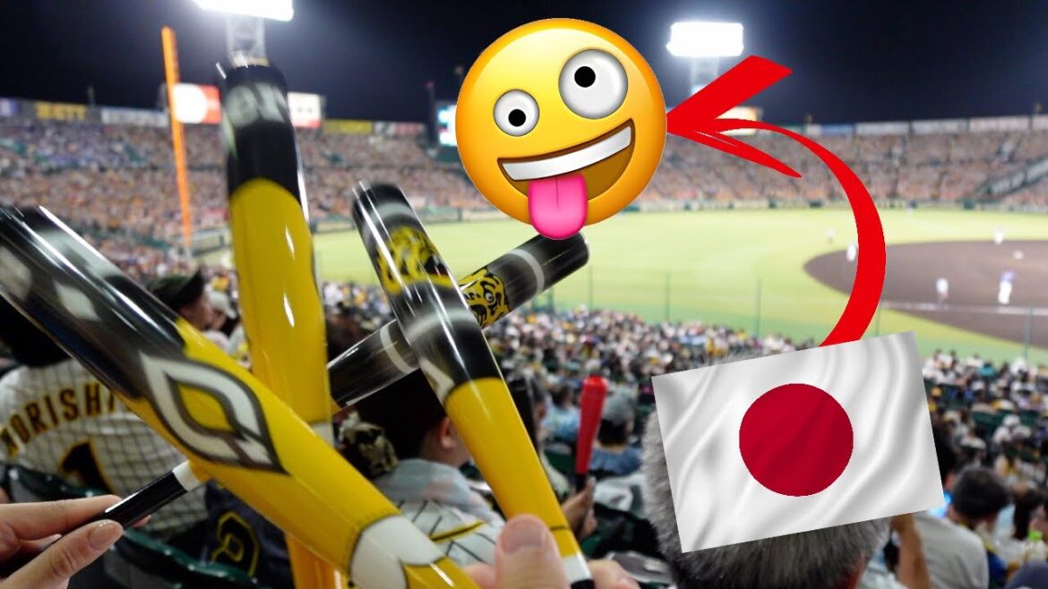 This is NOT a Baseball Match (Japan's most Passionate baseball supporters) Go Hanshin Tigers!