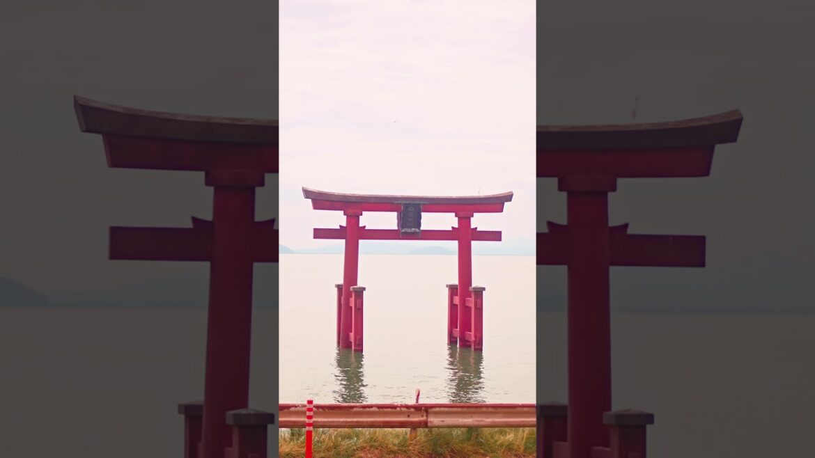 Shirahige shrine | Japan cinematic | Travel  #shorts #japaneseculture