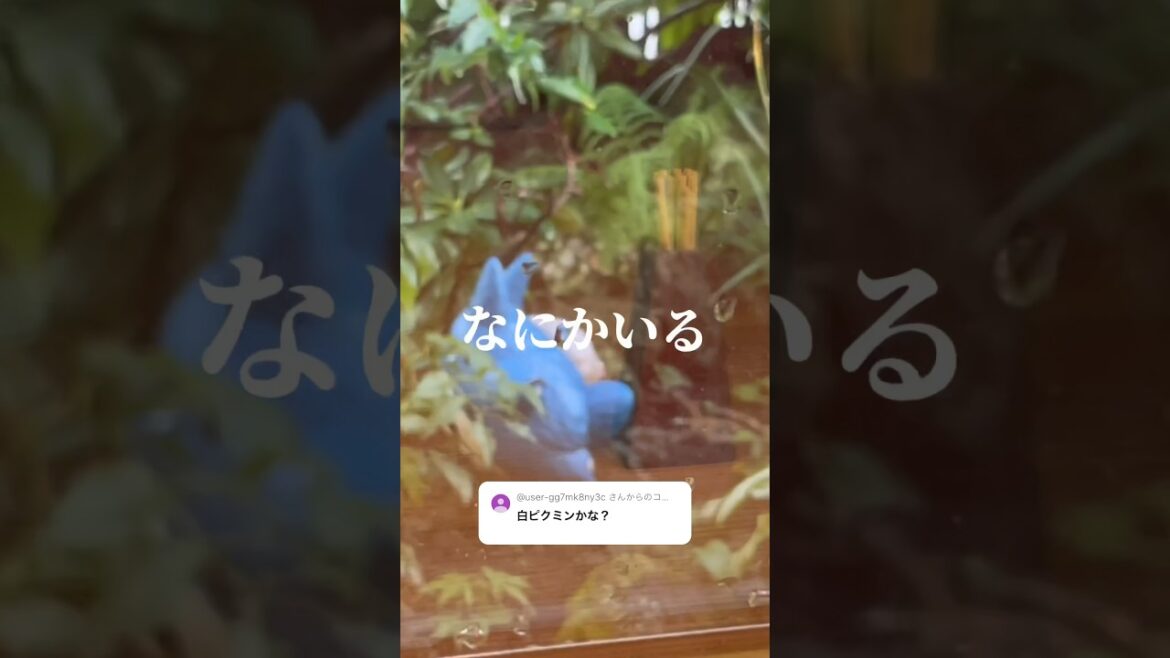 謎の生き物と遭遇「白ピクミンかな？」驚いた顔がかわいい #shorts