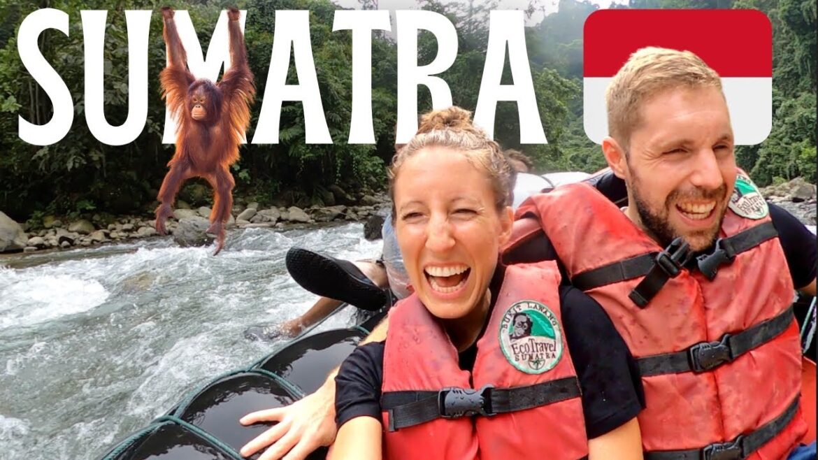 Orangutan JUNGLE TREK in Sumatra ๐ฎ๐ฉBukit Lawang, Nasi Goreng, Leeches, Tubing, Indonesia Travel Vlog Orangutan JUNGLE TREK in Sumatra ๐ฎ๐ฉBukit Lawang, Nasi Goreng, Leeches, Tubing, Indonesia Travel Vlog
