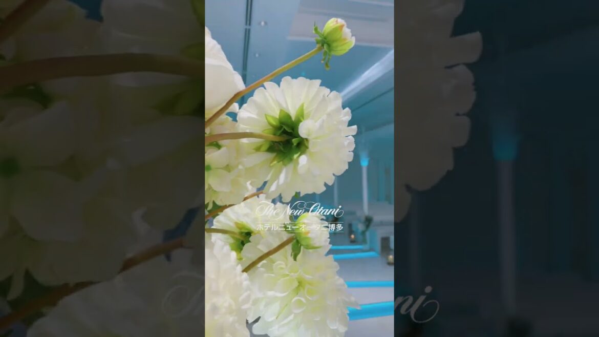 美しいチャペルでプロポーズ！　〜ホテルニューオータニ博多〜【My Life】#shorts