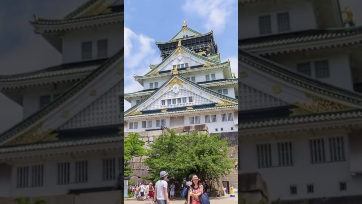 Beautiful Japan !Japan Best Places #Japan #viral #ytshorts #shortvideo