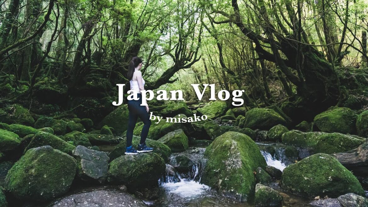 【九州旅遊】日本世界遺產屋久島!進入宮崎駿電影場景😍白谷雲水峽、青苔森林、太鼓岩、永田海濱、大川瀑布、屋久島交通攻略&推薦伴手禮|南九州鹿兒島自由行|實彩子Misako’s Vlog 【九州旅遊】日本世界遺產屋久島!進入宮崎駿電影場景😍白谷雲水峽、青苔森林、太鼓岩、永田海濱、大川瀑布、屋久島交通攻略&推薦伴手禮|南九州鹿兒島自由行|實彩子Misako’s Vlog