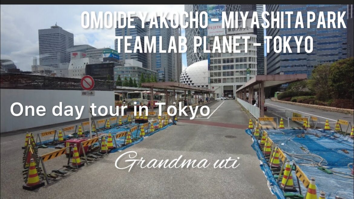 TOKYO – JAPAN II WALKING TOUR II SHINJUKU – TOKYO II OMOIDE YOKOCHO II MIYASHITA PARK TOKYO - JAPAN II WALKING TOUR II SHINJUKU - TOKYO II OMOIDE YOKOCHO II MIYASHITA PARK