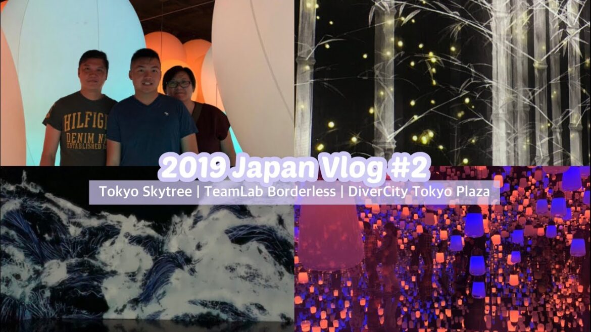 Japan Tokyo Trip | TeamLab Borderless Adventure!!