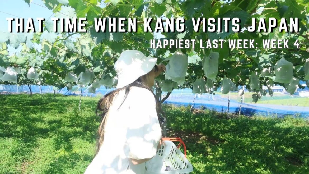 That time when Kang visits Japan: Happiest Week 4 with the Canon Powershot v10