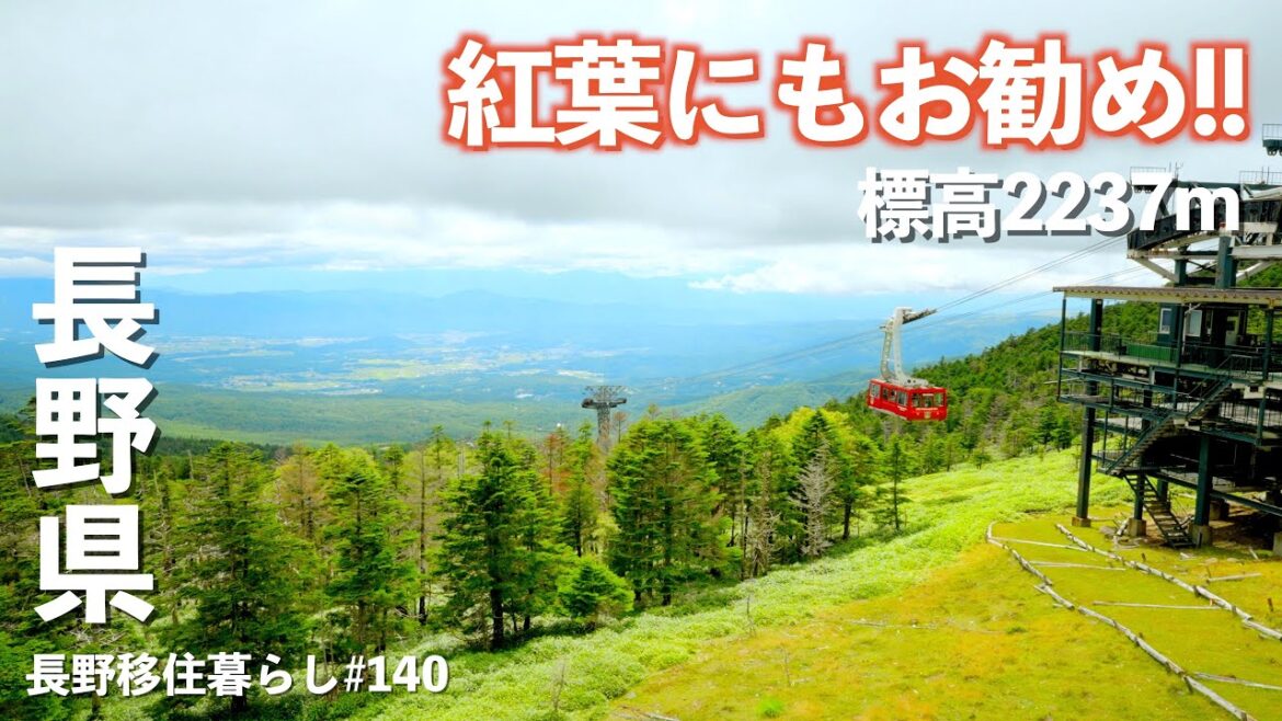 【長野移住】いち早く紅葉の時期がやってくるお手軽散策スポット!!|北八ヶ岳ロープウェイ|蓼科|ドライブ|田舎暮らし|長野県|4K 【長野移住】いち早く紅葉の時期がやってくるお手軽散策スポット!!|北八ヶ岳ロープウェイ|蓼科|ドライブ|田舎暮らし|長野県|4K