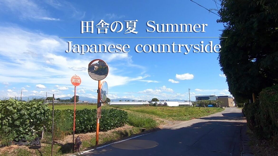 日本の田舎の夏景 | An ordinary Japanese countryside, Aomori summer 2023