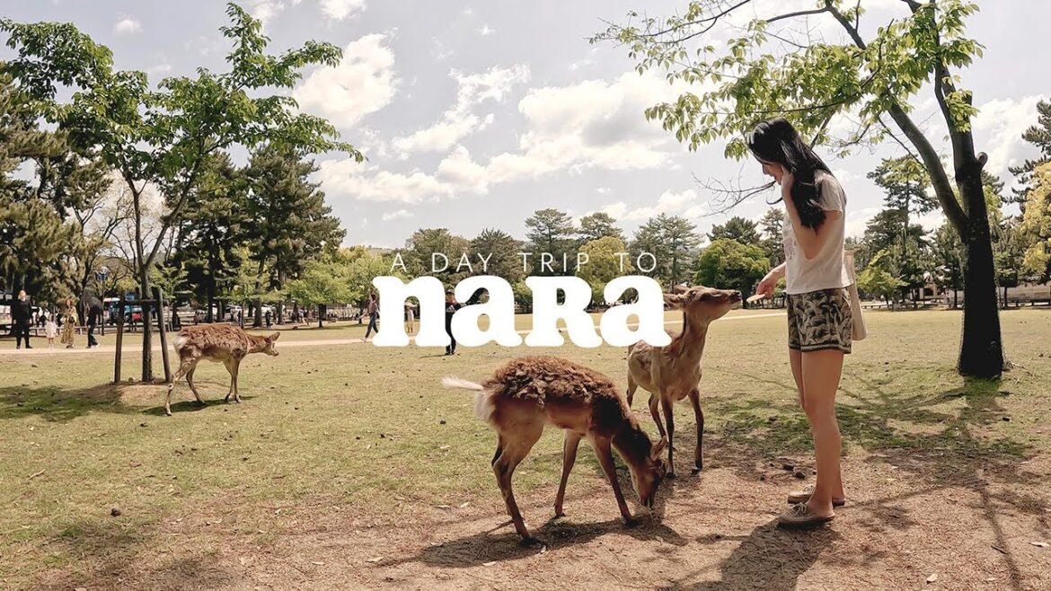 Nara Park and Japanese Gardens [Japan 13]