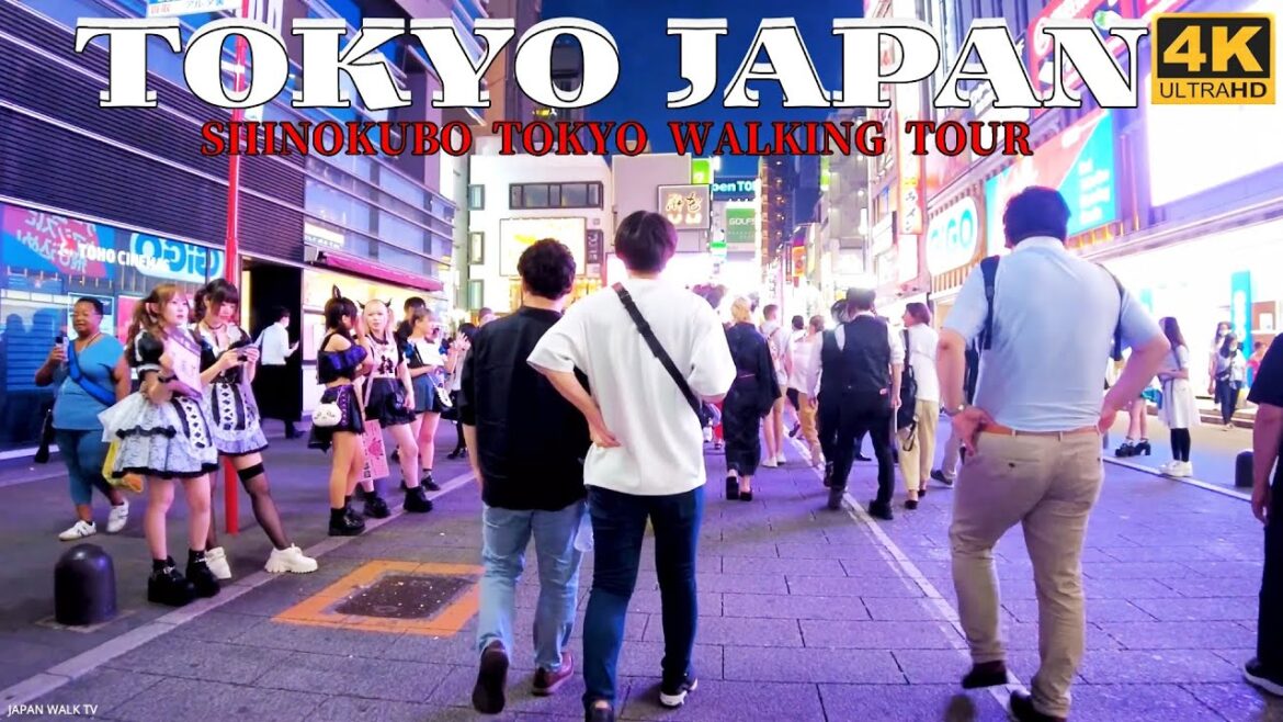 【4K】TOKYO TRAVEL 2023 – 東京 新大久保 Shinokubo Tokyo Summer Walking Tour Street People Shopping Food 【4K】TOKYO TRAVEL 2023 - 東京 新大久保 Shinokubo Tokyo Summer Walking Tour Street People Shopping Food