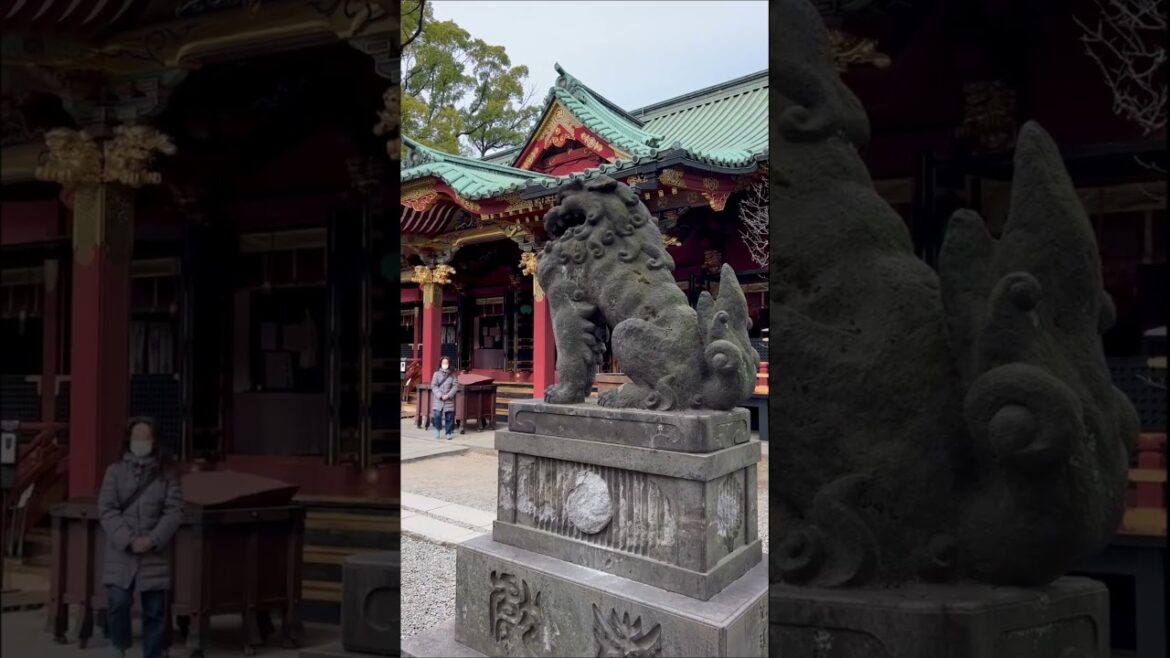 Discover Tokyo in 1 minute. Tokyo travel guide 2023 4k  #travel #tokyo #shorts