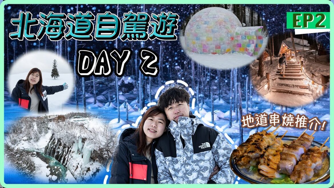 【日本自由行2023】北海道自駕遊|美瑛9大景點美食一日遊|森林精靈露台+白鬚瀑布+白金青池+聖誕之樹+俵真布+Mild Seven之丘+七星之木|美瑛地道串燒|Day2 【日本自由行2023】北海道自駕遊|美瑛9大景點美食一日遊|森林精靈露台+白鬚瀑布+白金青池+聖誕之樹+俵真布+Mild Seven之丘+七星之木|美瑛地道串燒|Day2