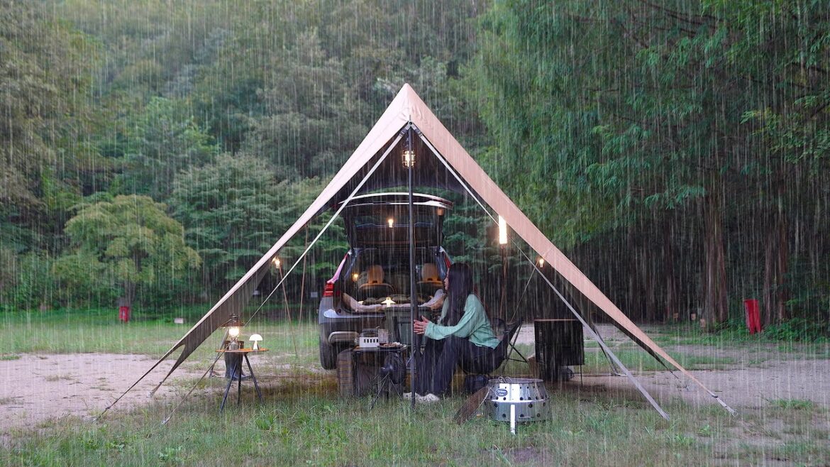 갑작스런 물폭탄이 쏟아지던 날, 타프 안으로 차를 넣어봤어요 | 바질페스토 토스트, 오징어무침 | 볼보 v90 크로스컨트리 차박캠핑 갑작스런 물폭탄이 쏟아지던 날, 타프 안으로 차를 넣어봤어요 | 바질페스토 토스트, 오징어무침 | 볼보 v90 크로스컨트리 차박캠핑