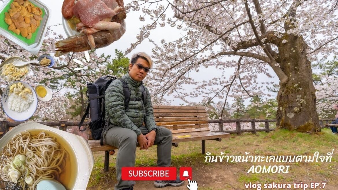 Vlog:Sakura trip EP.7 ข้าวหน้าทะเลแบบจิ้มเลือกได้ สั่งไม่ยั้ง ที่Aomori