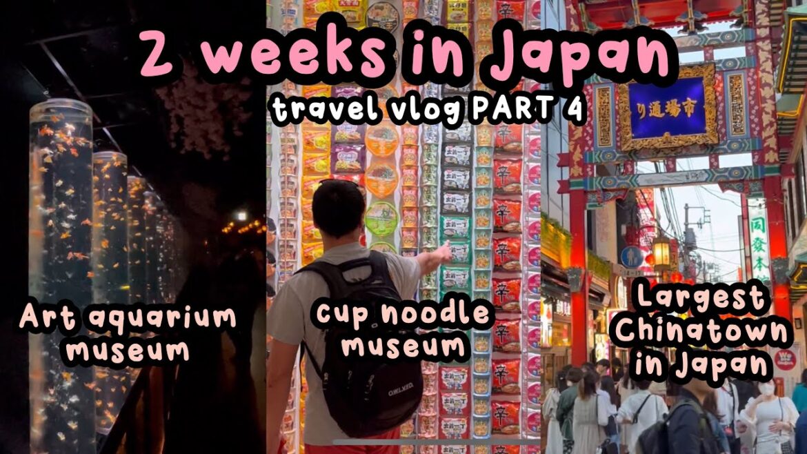 🌸 Japan vlog pt 4: art aquarium ginza walkthrough, cup noodle museum, Chinatown yokohama 🌸 Japan vlog pt 4: art aquarium ginza walkthrough, cup noodle museum, Chinatown yokohama