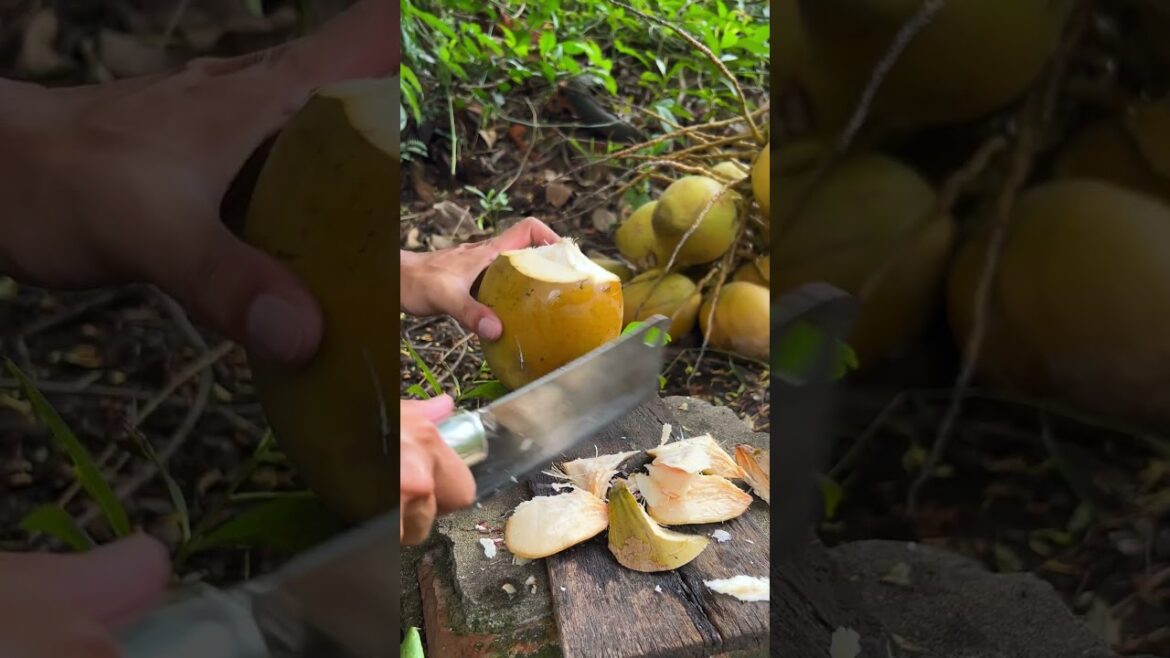 Golden coconut cutting skill #shorts #streetfood #viral #coconut #asmr