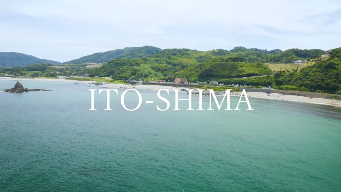 サイクリングロード ~糸島10秒動画~ サイクリングロード ~糸島10秒動画~