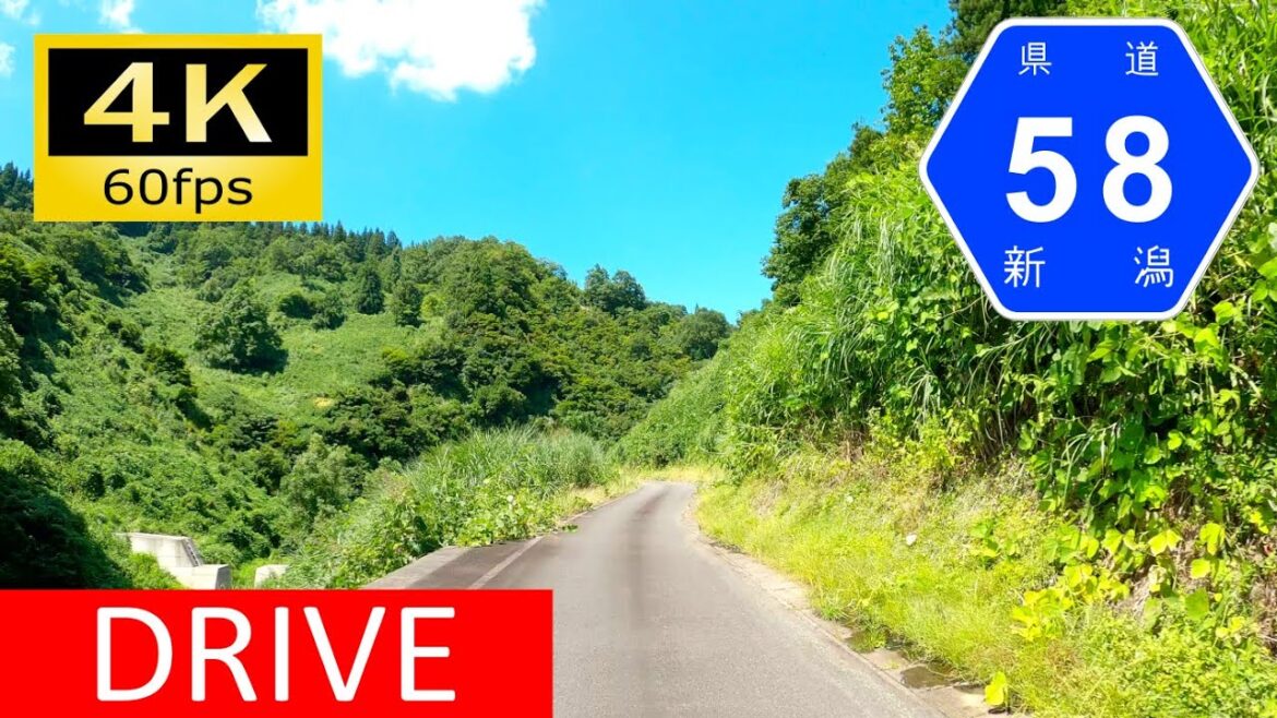 【Driving in Japan】Niigata Prefectural Route 58/209: Hitomurao - Kawai（車載動画 新潟県道58/209号）[4K]
