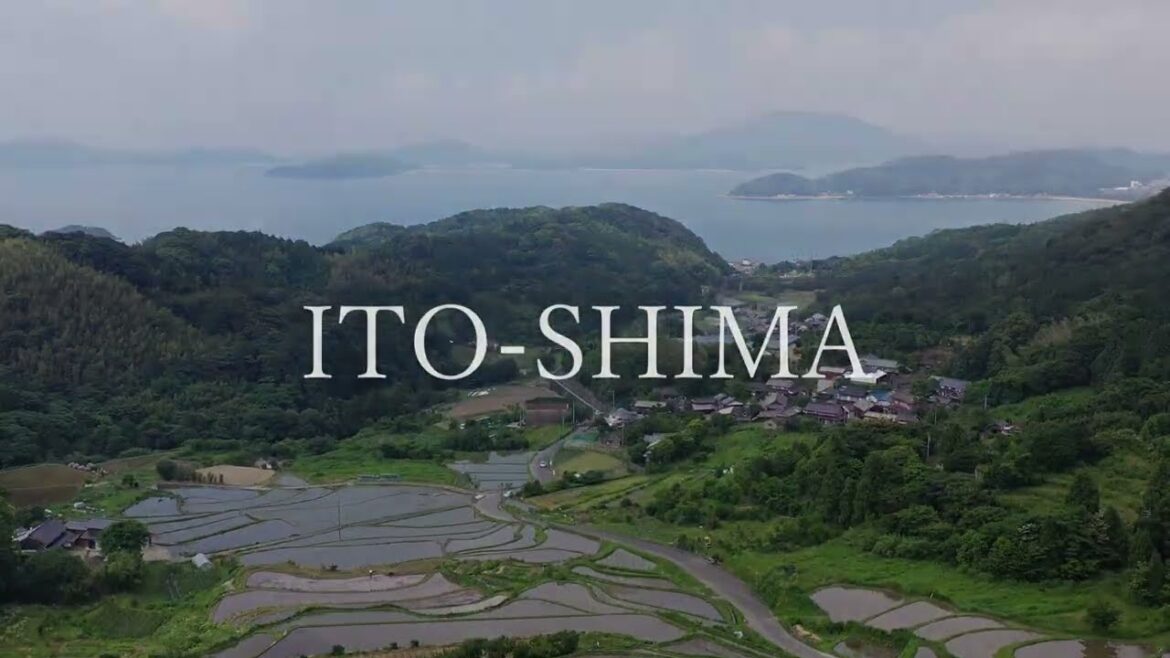 佐波棚田　～糸島10秒動画～