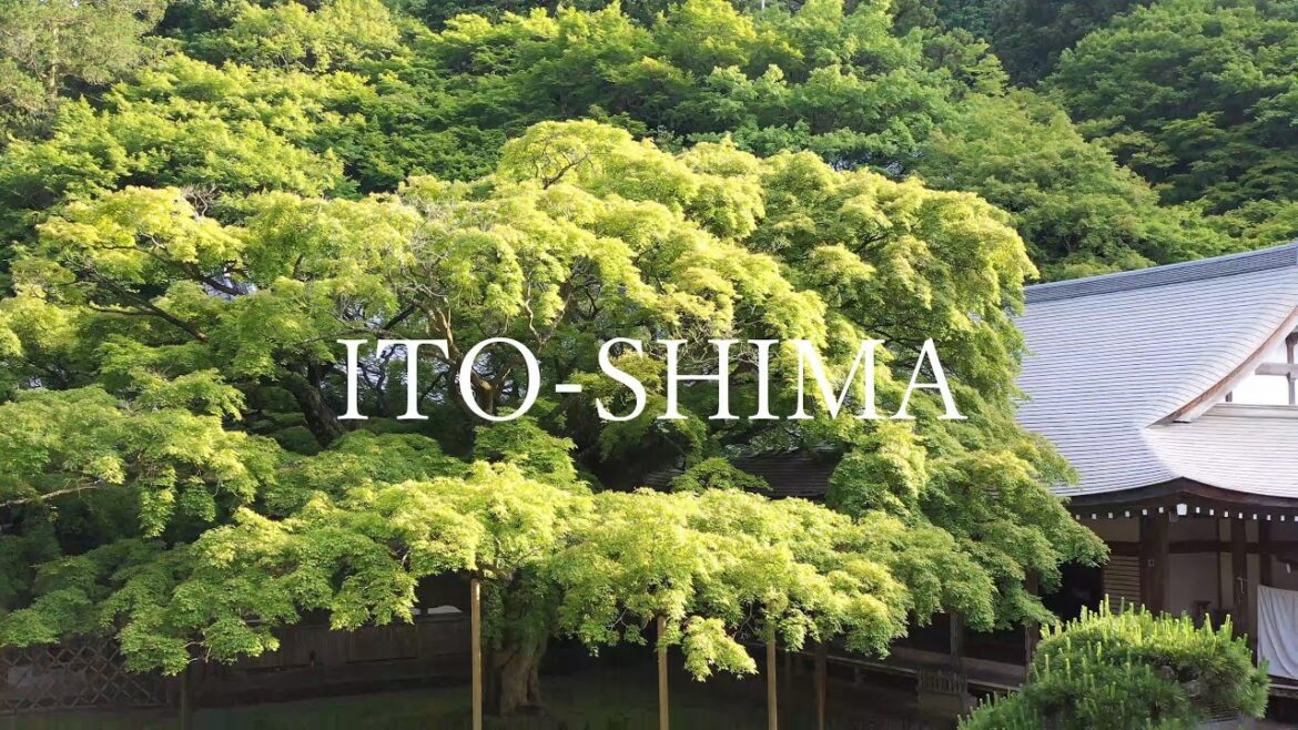 雷山千如寺 新緑 ~糸島10秒動画~ 雷山千如寺 新緑 ~糸島10秒動画~