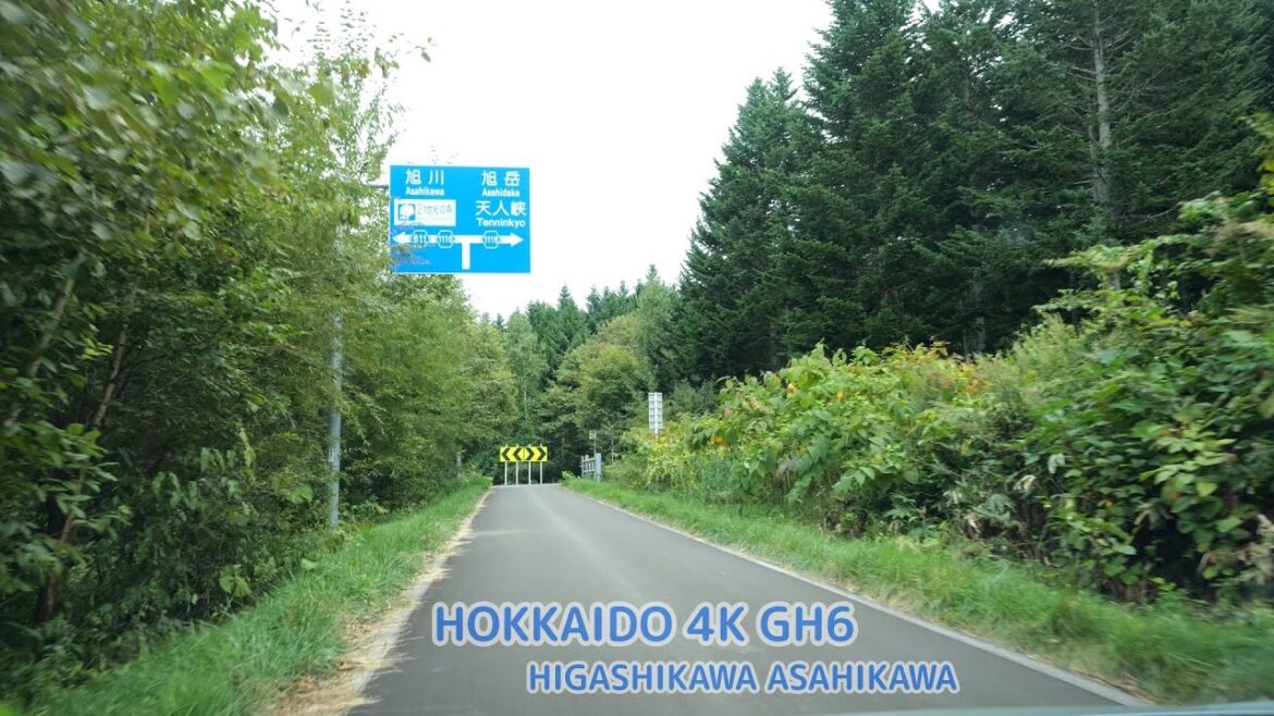 北海道道611号瑞穂東川線：道道294号～道道1160号交点～道道295号交点  [ 東川町 旭川市4K/60p GH6 車載動画 全線ドライブ]