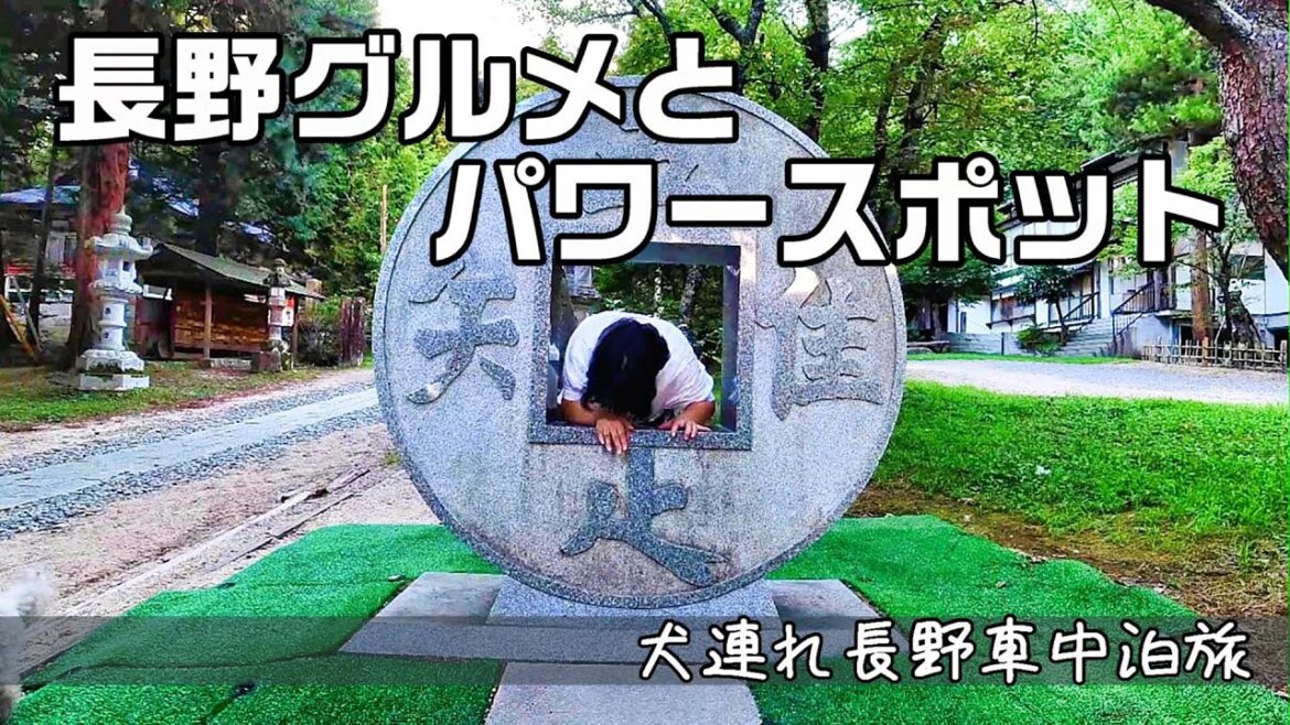 【長野観光】 長野グルメとパワースポット神社 犬連れ長野車中泊旅|キャンピングカー旅|犬旅|有明山神社|大王わさび農場|カフェバスブリス|INUVAN イヌとバンライフ 【長野観光】 長野グルメとパワースポット神社 犬連れ長野車中泊旅|キャンピングカー旅|犬旅|有明山神社|大王わさび農場|カフェバスブリス|INUVAN イヌとバンライフ