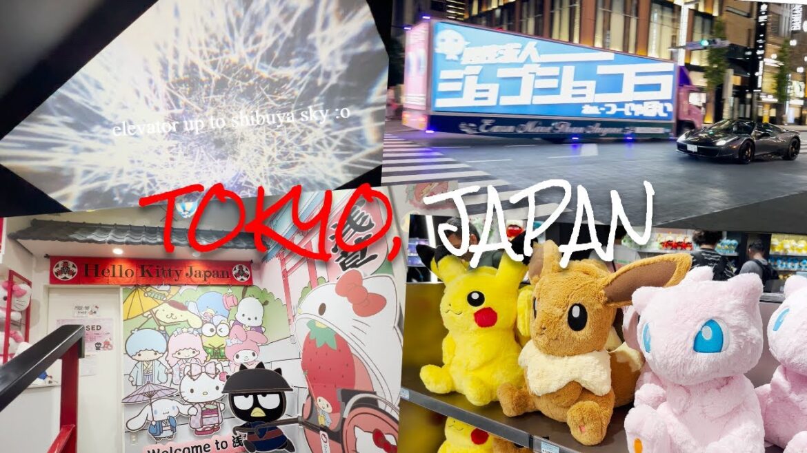 MY TRIP TO TOKYO, JAPAN [1080p]