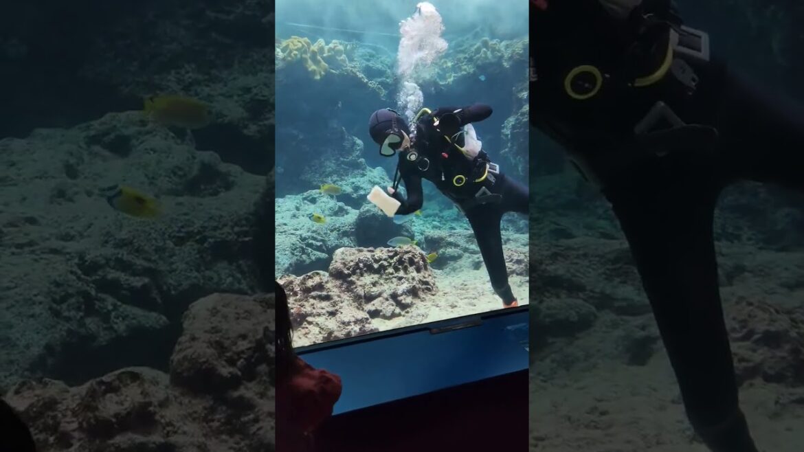「ニンゲン」の展示