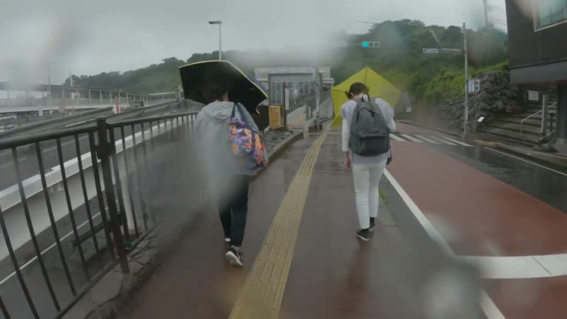 Rainy Day Photography at Sakurajima's Tsukiyomi Shrine
