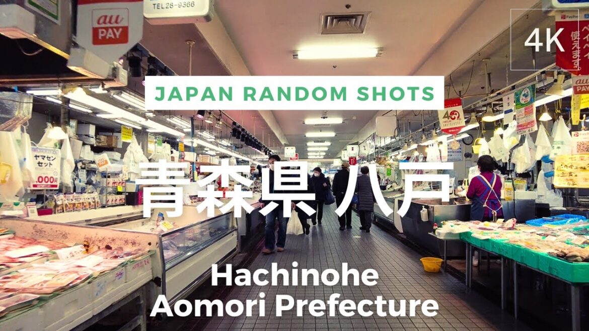 [4K] Hachinohe, Aomori Prefecture, Japan | Random Shots | 日本 青森県 八戸 | Feb 2023