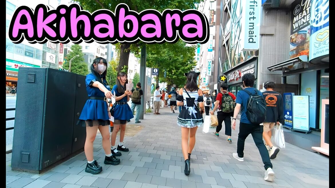 2023  真夏の秋葉原  メイド通りを歩く｜Tokyo Akihabara Walk