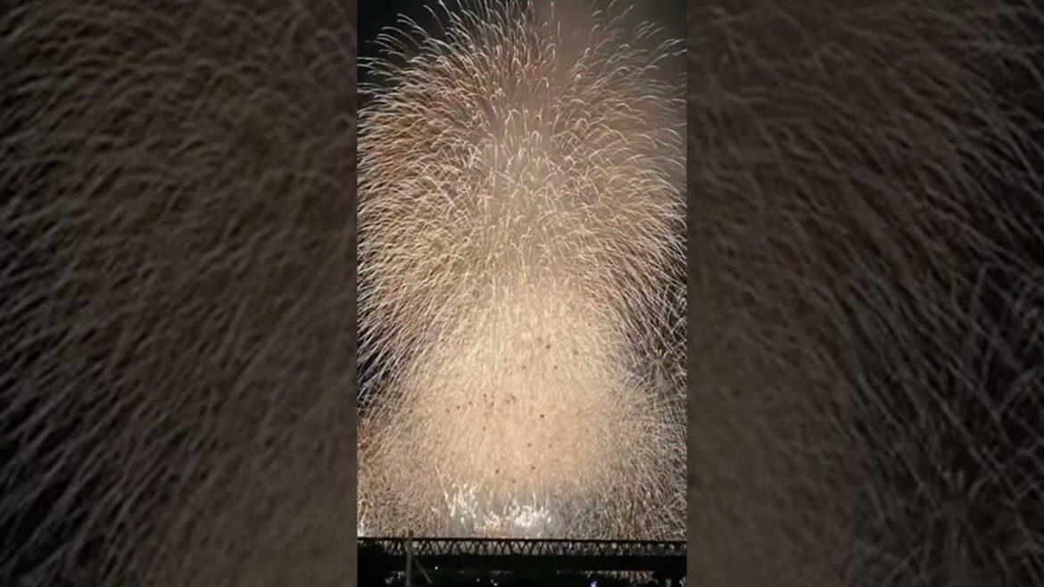 #FINALE #osaka #japan #fireworks #festival #summer #travel #shorts #shortsfeed #shortsvideos